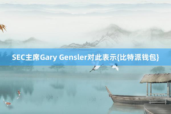 SEC主席Gary Gensler对此表示{比特派钱包}