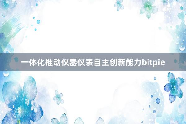 一体化推动仪器仪表自主创新能力bitpie