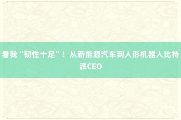 看我“韧性十足”！从新能源汽车到人形机器人比特派CEO