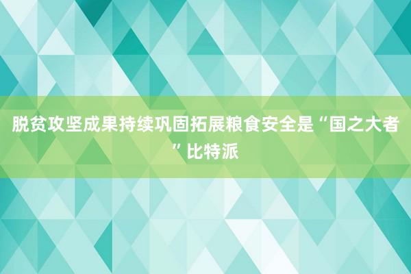 脱贫攻坚成果持续巩固拓展　　粮食安全是“国之大者”比特派