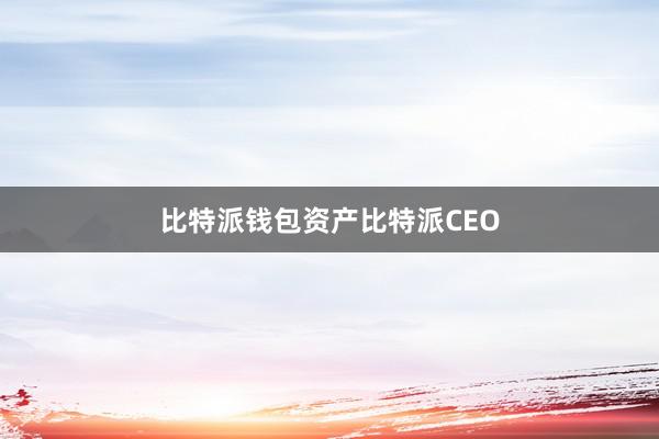 比特派钱包资产比特派CEO