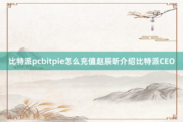 比特派pcbitpie怎么充值赵辰昕介绍比特派CEO