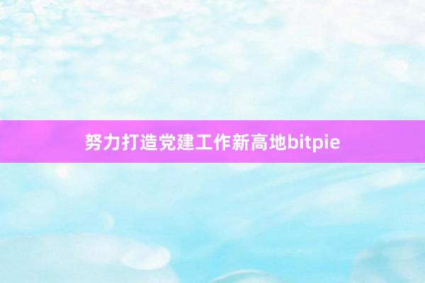 努力打造党建工作新高地bitpie