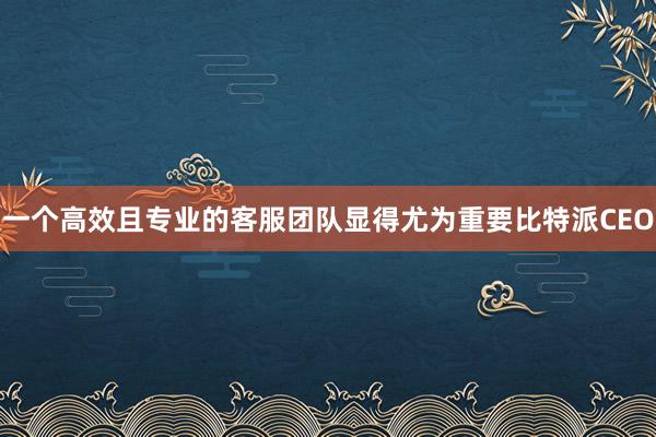 一个高效且专业的客服团队显得尤为重要比特派CEO