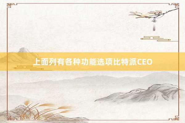 上面列有各种功能选项比特派CEO