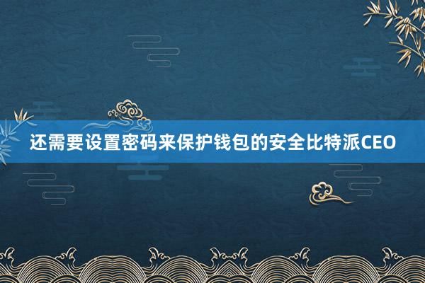 还需要设置密码来保护钱包的安全比特派CEO