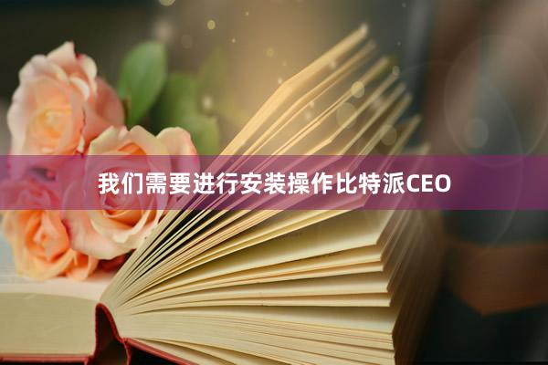 我们需要进行安装操作比特派CEO