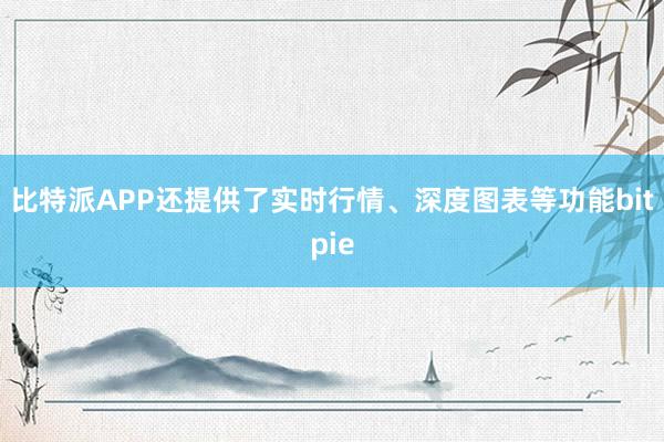 比特派APP还提供了实时行情、深度图表等功能bitpie