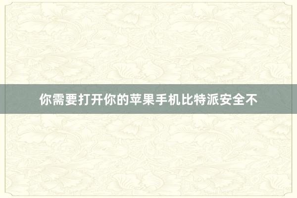 你需要打开你的苹果手机比特派安全不