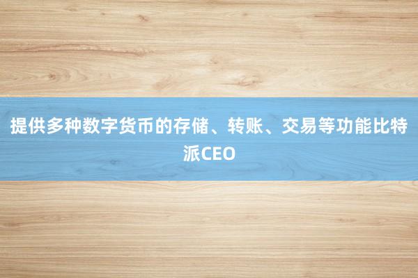 提供多种数字货币的存储、转账、交易等功能比特派CEO