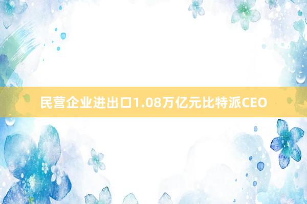 民营企业进出口1.08万亿元比特派CEO