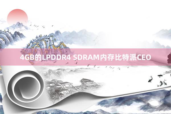 4GB的LPDDR4 SDRAM内存比特派CEO