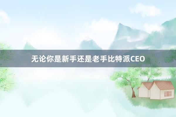 无论你是新手还是老手比特派CEO