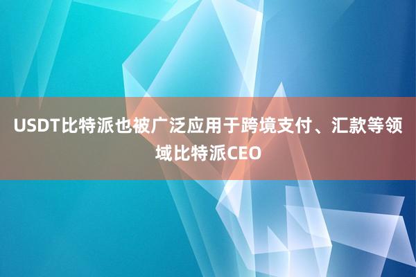 USDT比特派也被广泛应用于跨境支付、汇款等领域比特派CEO