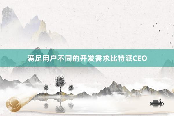 满足用户不同的开发需求比特派CEO