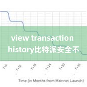 view transaction history比特派安全不