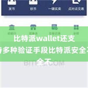 比特派wallet还支持多种验证手段比特派安全不