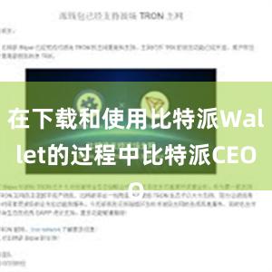 在下载和使用比特派Wallet的过程中比特派CEO