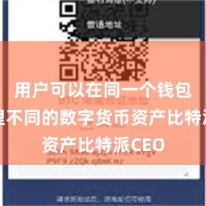 用户可以在同一个钱包中管理不同的数字货币资产比特派CEO