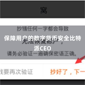 保障用户的数字货币安全比特派CEO