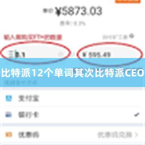 比特派12个单词其次比特派CEO